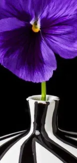 Purple flower in black and white vase art wallpaper.