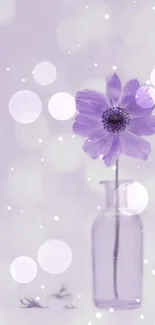 Elegant purple flower in a glass vase with a blurred lavender background.