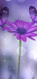 Purple flower with two butterflies on soft-focus background.