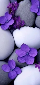 Purple flowers on smooth grey stones wallpaper.