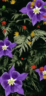 Vibrant purple flowers with green leaves in a serene forest setting.