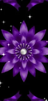 Purple fractal flower on a black background.