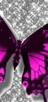 Purple butterfly on glittering silver background.