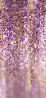 Hanging purple flowers create a serene and elegant mobile wallpaper.