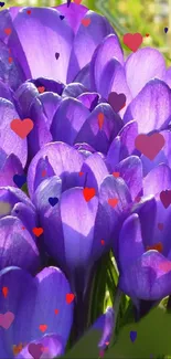 Purple flowers with colorful heart decorations in a vibrant wallpaper.