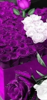 Purple heart-shaped rose bouquet with white accents.