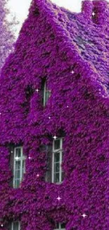 House covered in vivid purple vines creating a unique and artistic display.