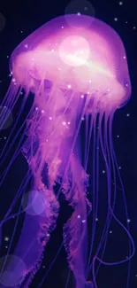 Glowing purple jellyfish on a deep blue background mobile wallpaper.