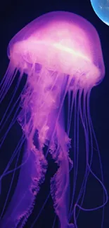 Mobile wallpaper of a purple jellyfish glowing in moonlight against a dark backdrop.