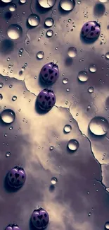 Purple ladybugs on a surface with droplets and abstract design.