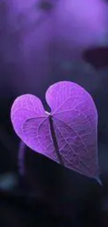 Heart-shaped purple leaf wallpaper with elegant nature design.