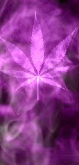 Purple leaf with smoke effect mobile wallpaper.