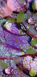 Purple leaf with raindrops and green leaves.