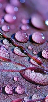 Close-up of a purple leaf with water droplets on its surface.