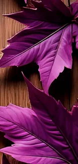 Purple leaves on a wooden background for mobile wallpaper.