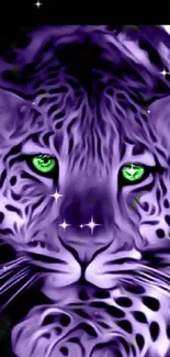 Purple leopard with mesmerizing green eyes.