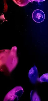 Purple Light Liquid Live Wallpaper