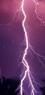 Striking purple lightning bolt against a dark sky, creating a dynamic and vibrant wallpaper.