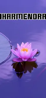 Purple water lily floating on calm water.