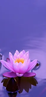 Purple lake with a pink lotus flower, creating a serene mobile wallpaper.