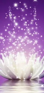 White lotus with sparkles on a purple background, reflecting tranquility.