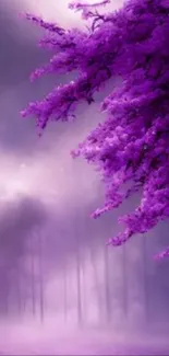 Purple tree with misty purple background for phone wallpaper.