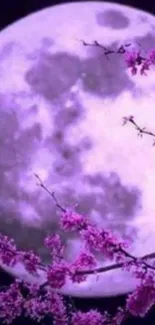 Purple moon with cherry blossoms in night sky.