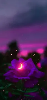 Purple flower glowing under a crescent moonlight against a serene night sky.