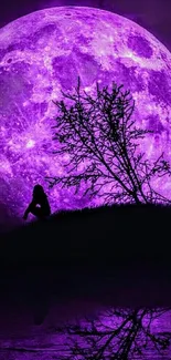 Silhouette against a purple moonlit night with reflection.