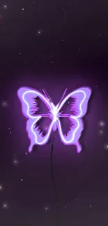 Purple neon butterfly glows against a starry dark background.