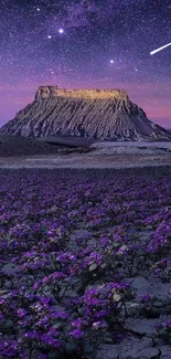 Purple landscape with starry sky and mountain at night.