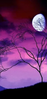 Purple night sky wallpaper with silhouetted tree and bright moon.