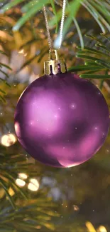 Purple ornament hanging on a Christmas tree, with lights in the background.