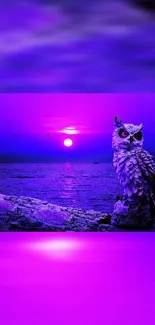 Purple owl on ocean coast with vibrant sunset.