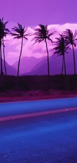 Purple and blue tropical evening with silhouetted palm trees.