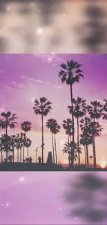 Silhouetted palm trees against a vibrant purple sunset sky.