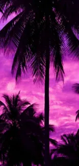 Silhouette of palm trees against a vibrant purple sunset sky.