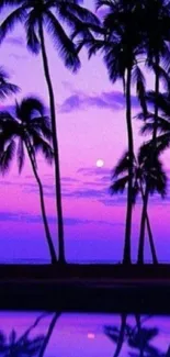 Purple sunset with palm tree silhouettes.