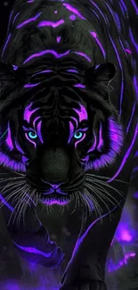 Purple Panthera Tiger Live Wallpaper