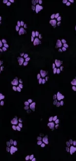 Purple paw print wallpaper with dark background and vibrant design.