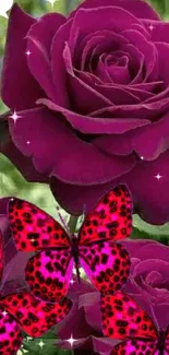 Purple roses with vibrant pink butterflies creating a stunning floral display.