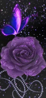 Purple rose and butterfly with sparkles on a dark background.