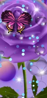 Purple rose with butterfly and bubble effects wallpaper.