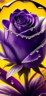 Artistic purple rose on yellow background with droplets.