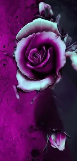 Elegant purple rose on a textured dark background.