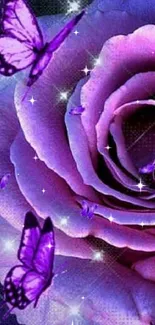 Purple rose with butterflies wallpaper design.