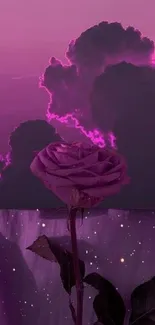 Vibrant purple rose with moonlit clouds.