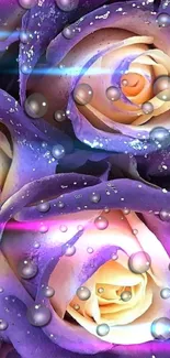 Purple roses with galaxy effects and shimmering droplets for mobile wallpaper.