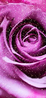 Purple rose with glitter effect, mobile wallpaper.