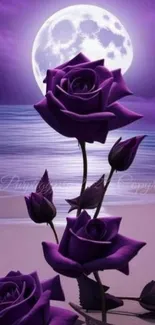 Purple roses and full moon over a quiet beach.
